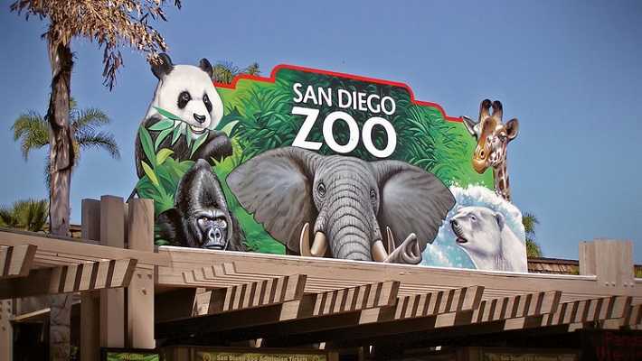 San Diego Zoo Best Tourist Places in California